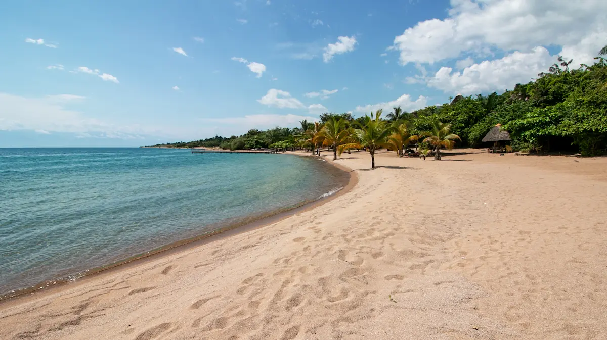 Sandy beach curving along the shore of Lake Tanganyika, lined with palm trees