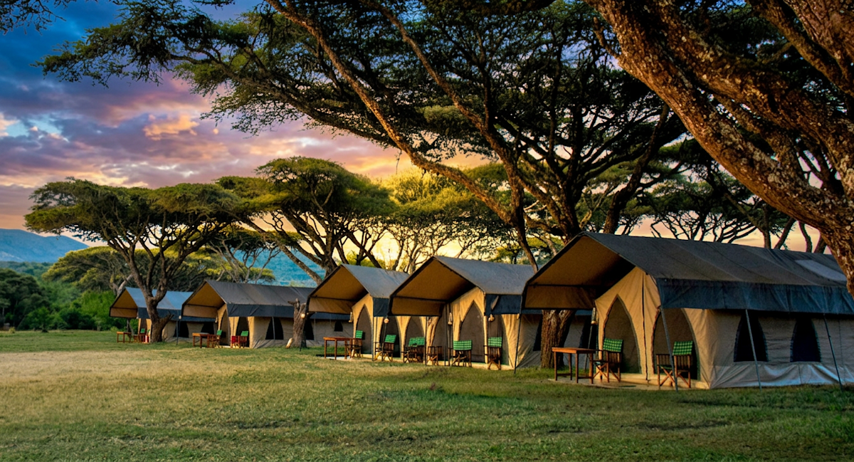 Row of canvas safari tents under acacia trees at dusk at Ngorongoro Nyumba