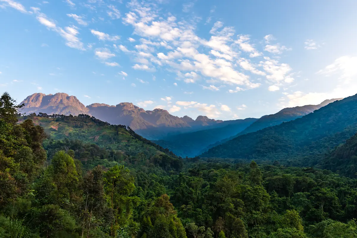 Forested valleys and rugged mountain peaks under a blue sky in Virunga National Park