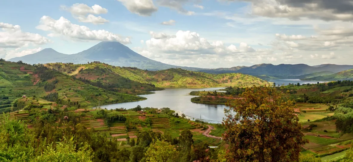 Lake Burera winding through green terraced hills with the Virunga volcanoes behind, Rwanda