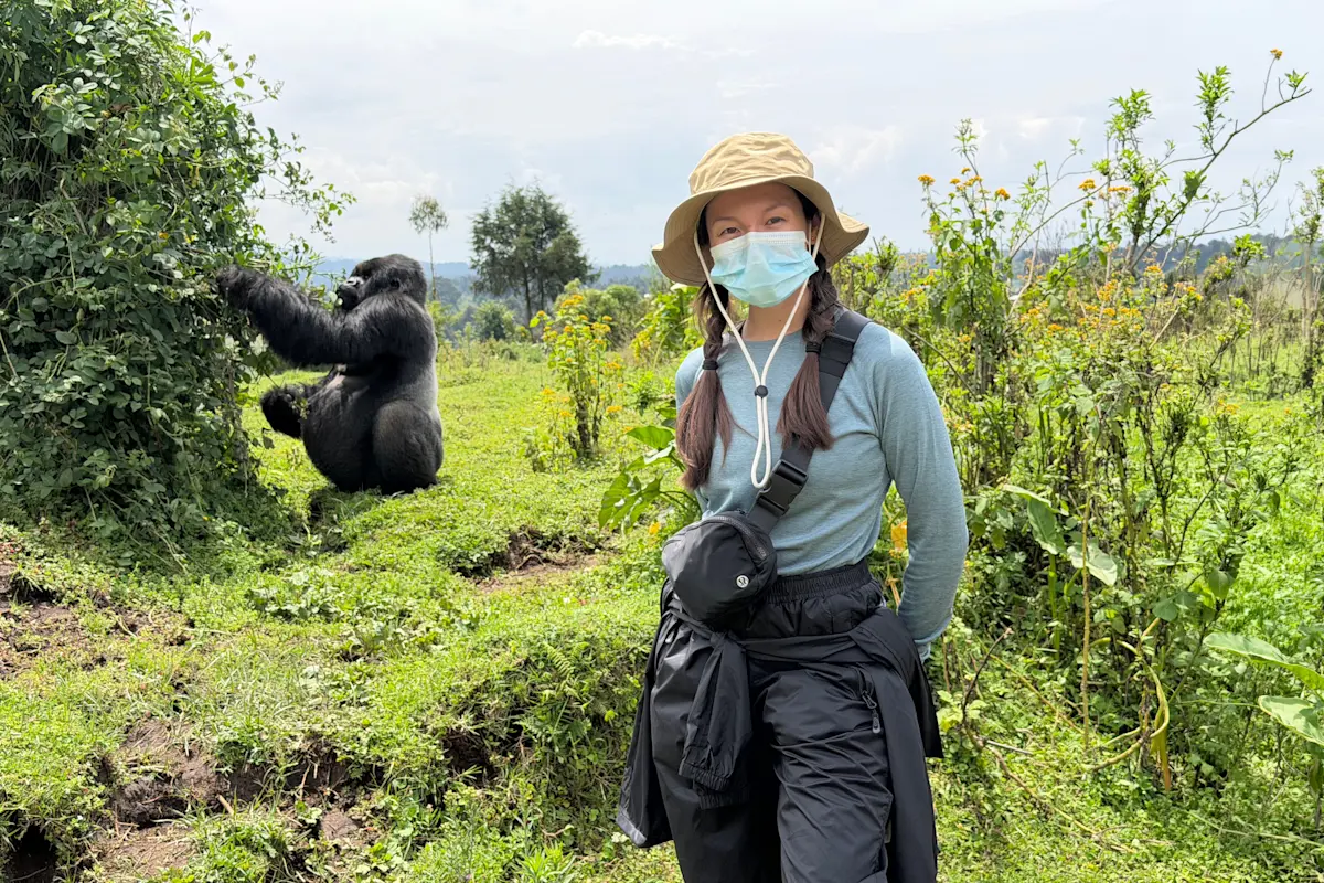 Masked trekker standing in the foreground with a gorilla sitting in the vegetation behind her