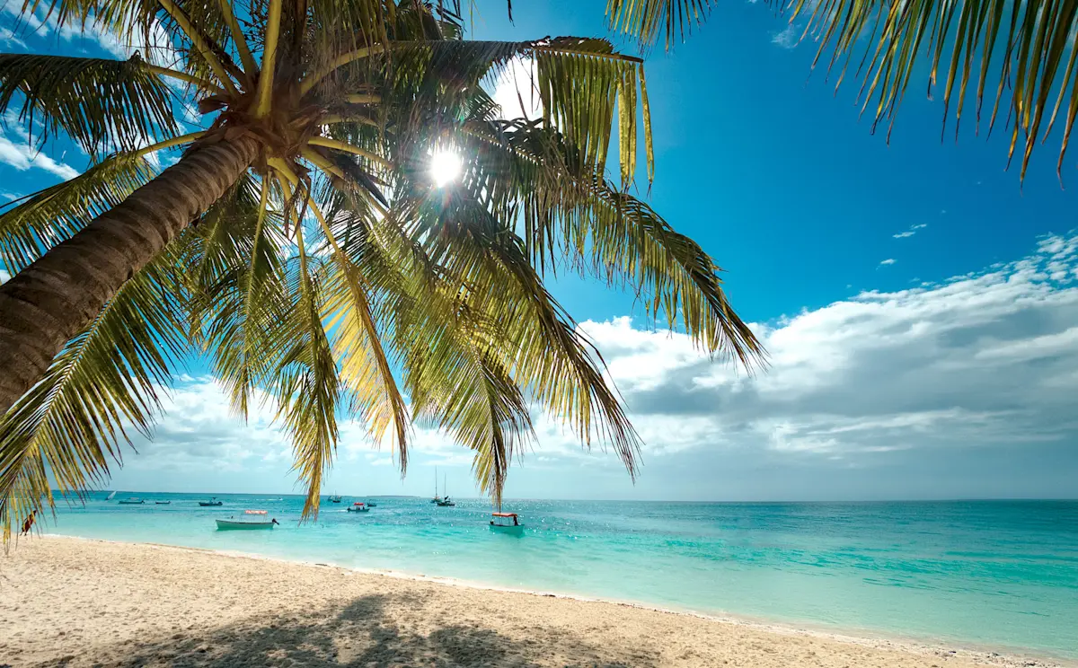 Palm tree leaning over a white sand beach and turquoise sea in Zanzibar