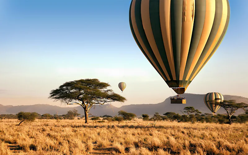 Hot-air balloons floating over the Serengeti at sunrise