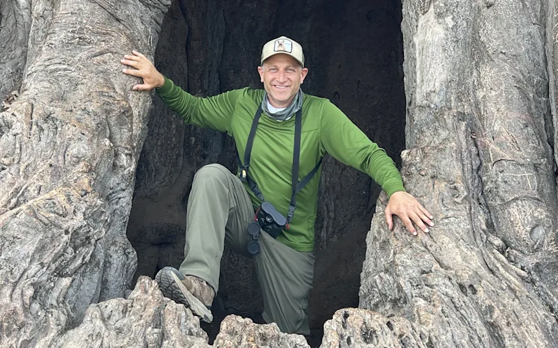 jonathan in baobab tree in tarangire national park