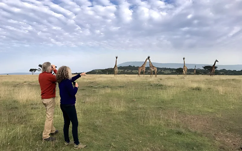 Rick Thomson and Judi Wineland watching giraffes in the Serengeti