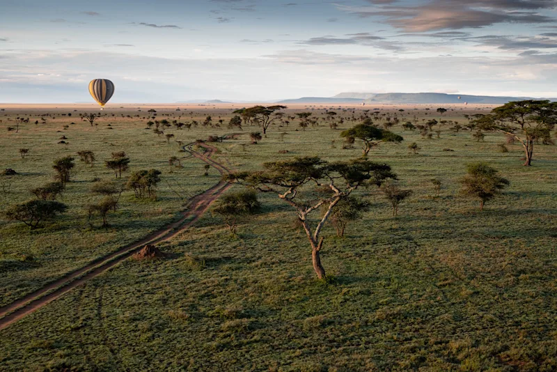 Hot-air balloon over the Serengeti at sunrise, seen from above