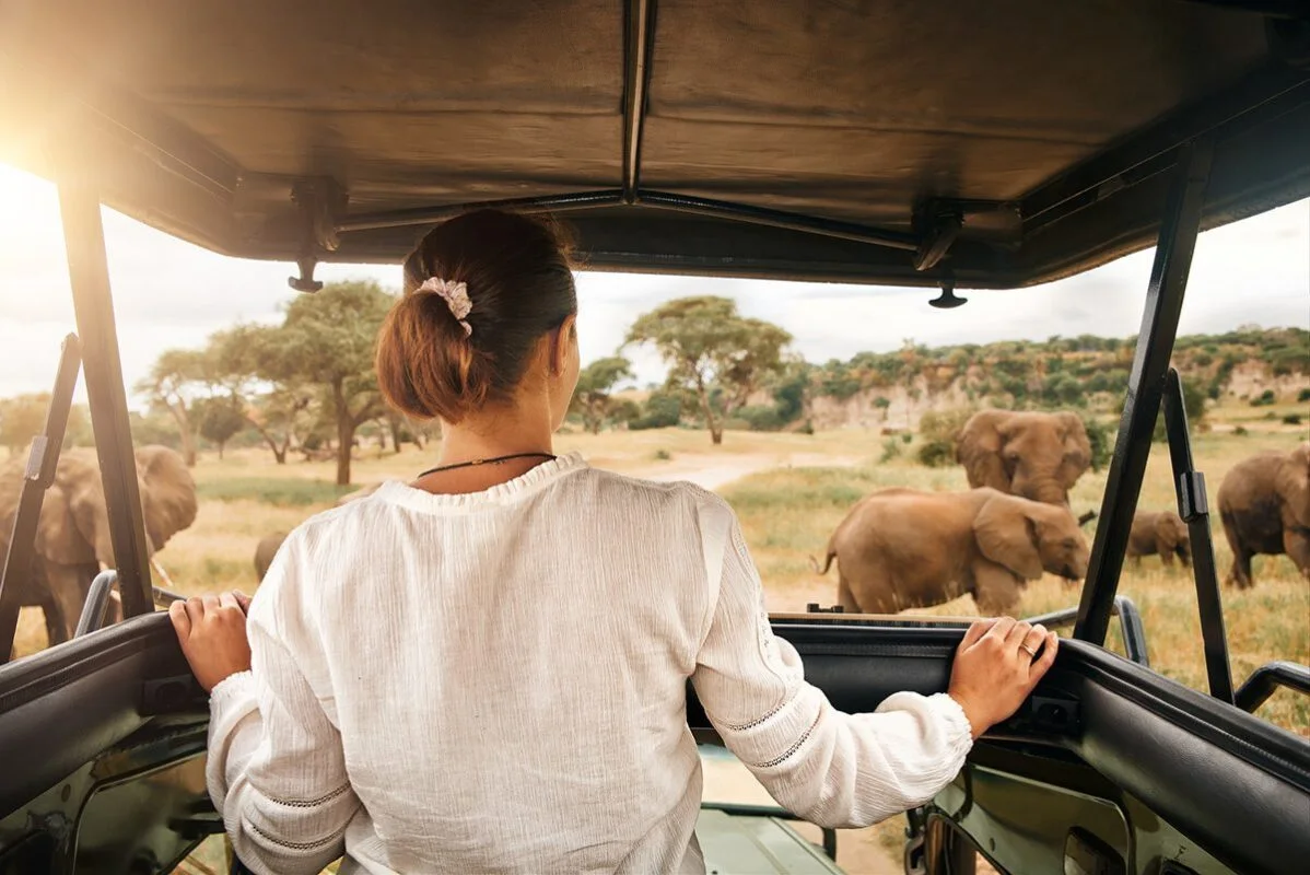 Woman watching elephants from an open safari vehicle
