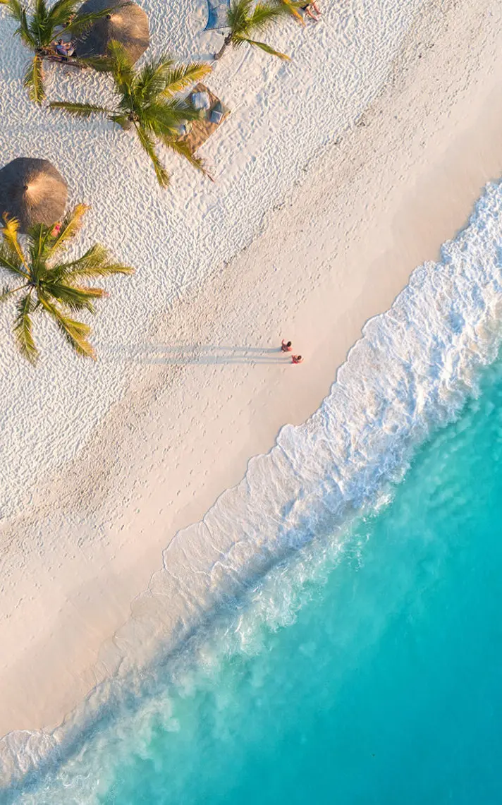 Aerial view of a white sand beach with palm trees and turquoise surf in Zanzibar