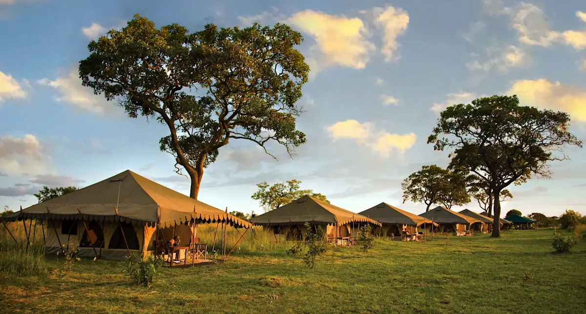 Row of canvas safari tents under large trees at Eastern Serengeti Nyumba