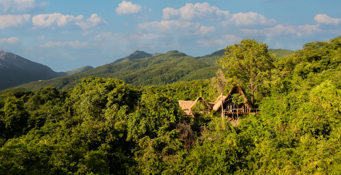 Greystoke Mahale's thatched lodge hidden in forest below the Mahale Mountains