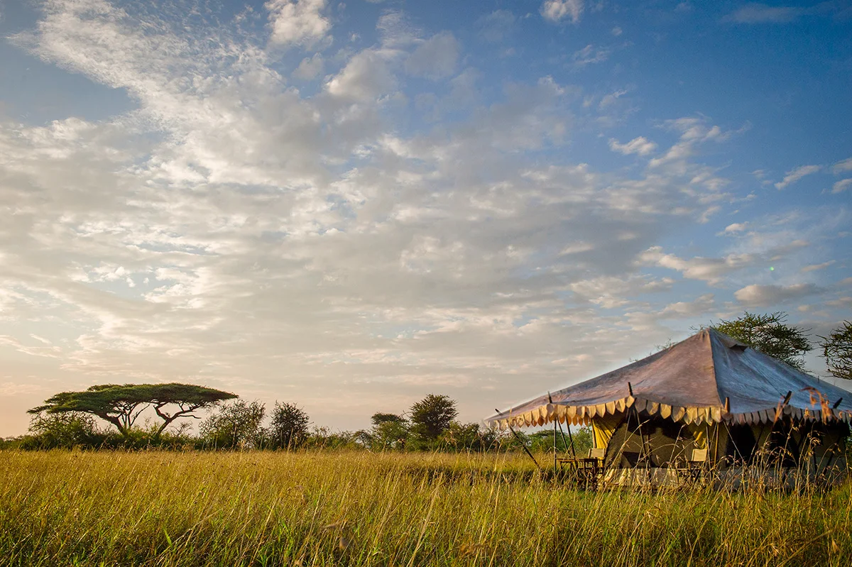 Guest tent at Serengeti Nyumba in tall grass under a wide sky