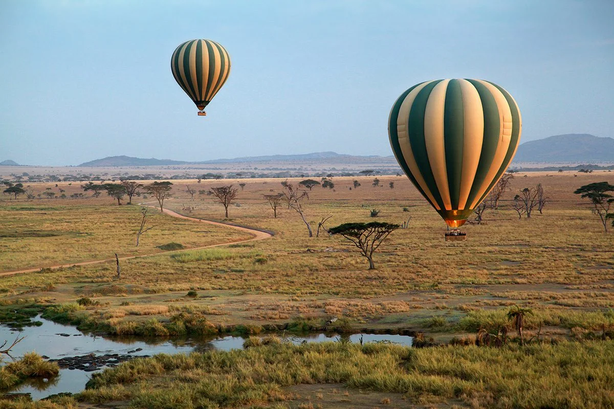 Hot air balloons drifting over the Serengeti plains and a winding river