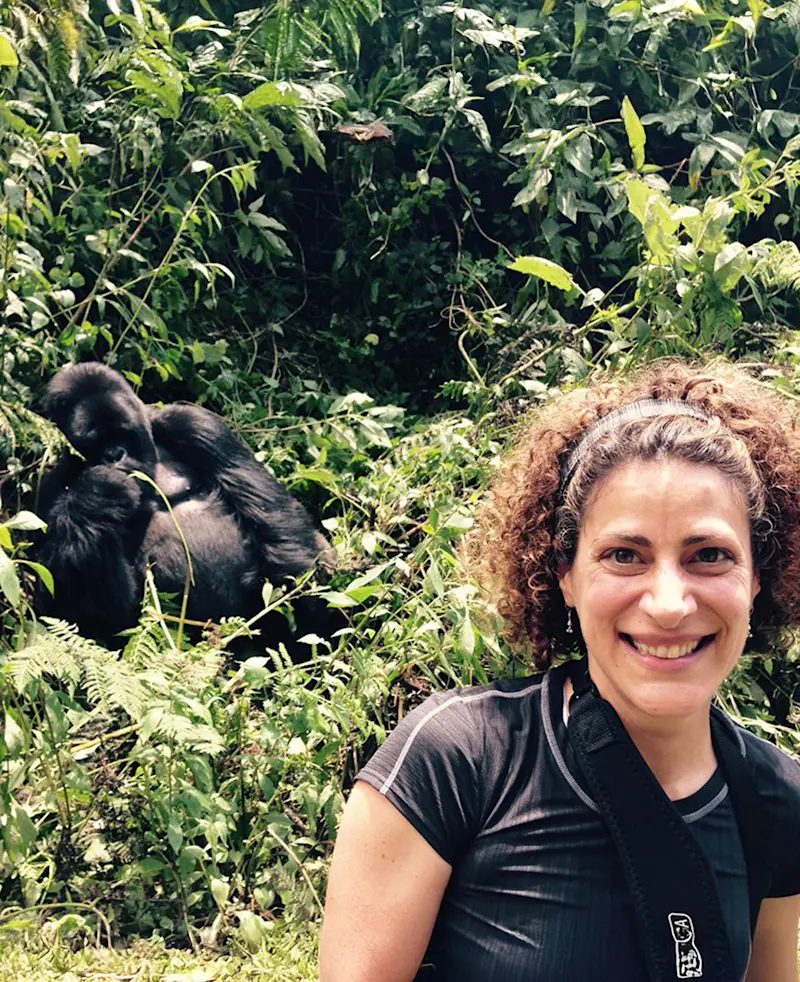 Smiling traveler sitting in dense forest with a mountain gorilla feeding behind her