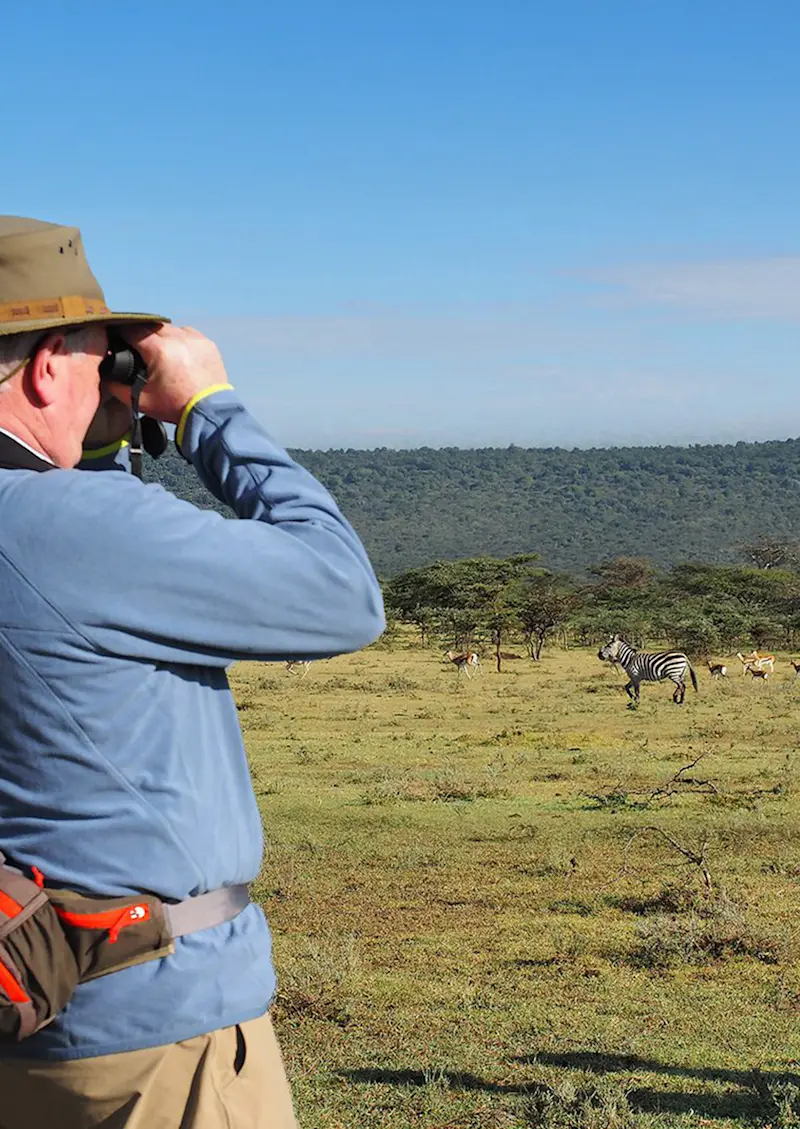 Traveler looking through binoculars at a zebra and gazelles on open grassland