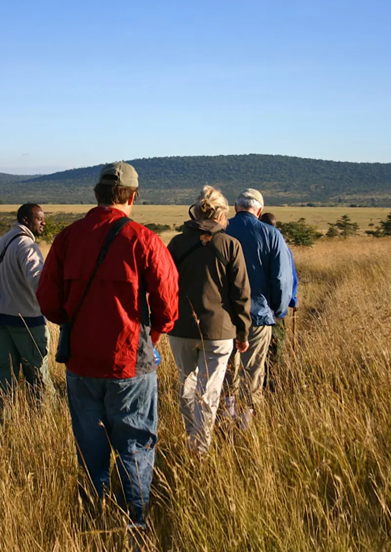 Group of travelers and a guide walking single file through tall golden grass