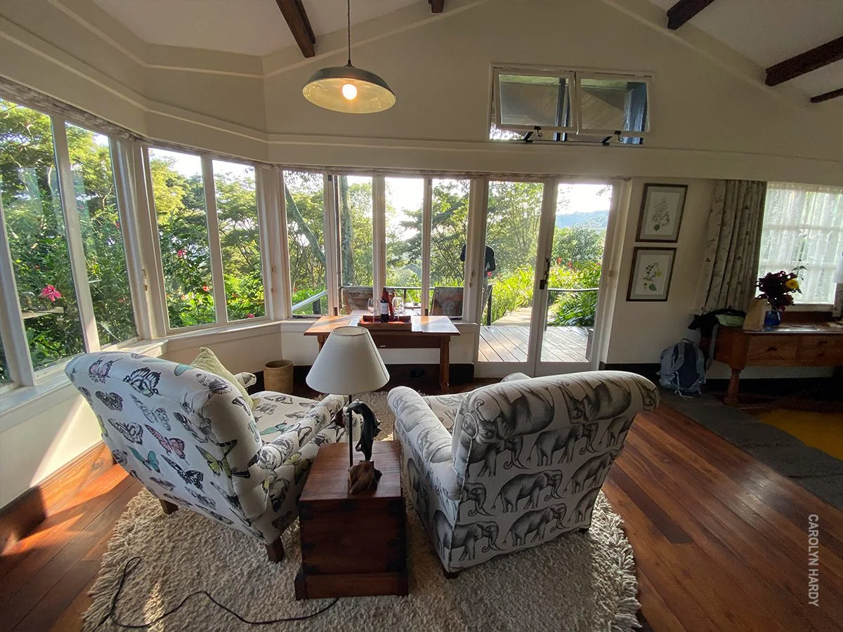 Gibb's Farm cottage sitting room with armchairs and windows facing a garden