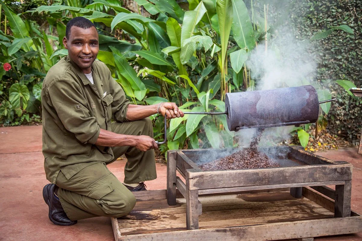 Man roasting coffee beans in a smoking drum over a fire at Gibb's Farm