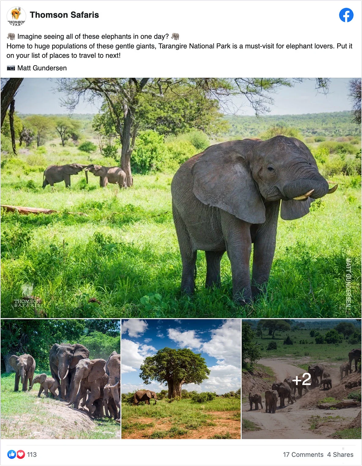 Thomson Safaris Facebook post with photos of elephants and a baobab in Tarangire National Park