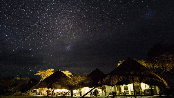 Star-filled night sky over thatched safari tents lit from inside