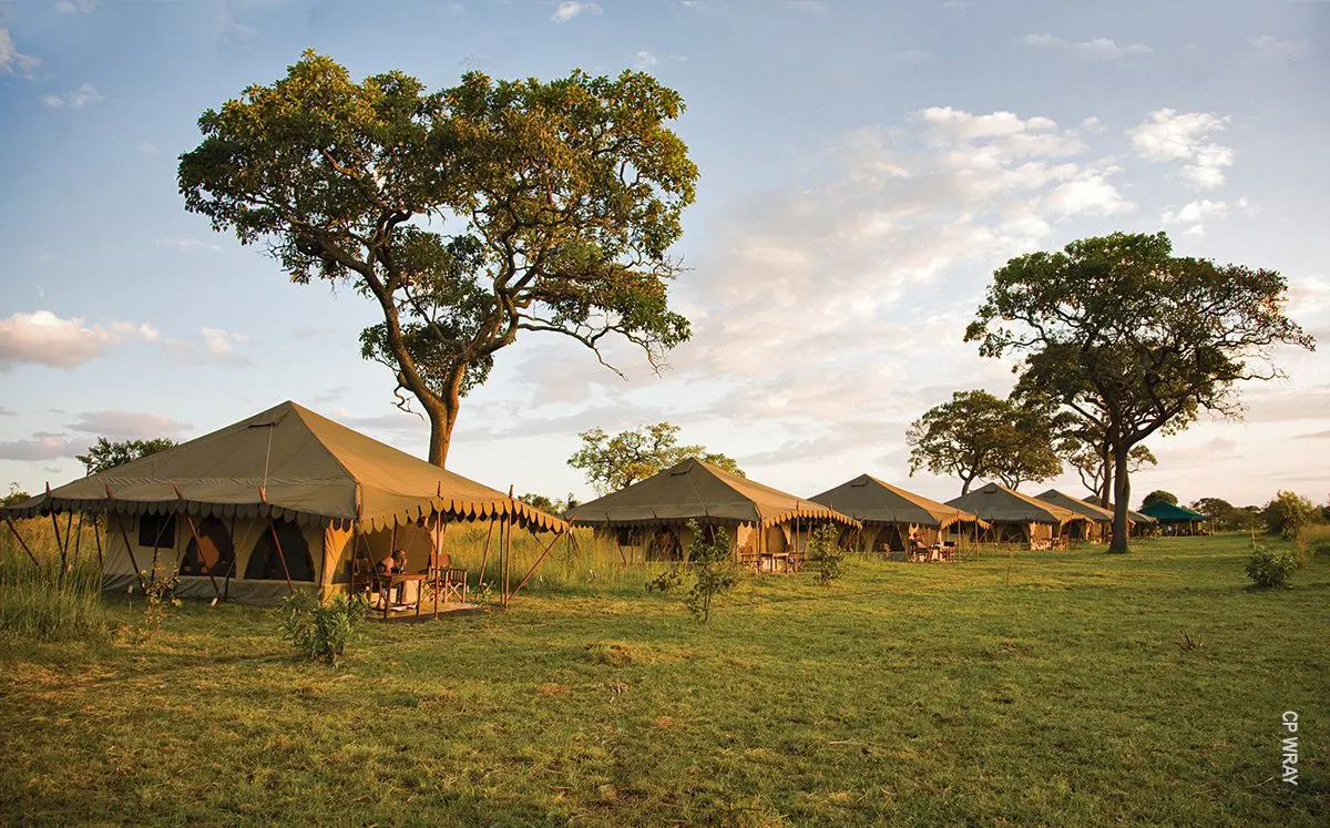 Row of canvas guest tents on green grass beneath trees at Northern Serengeti Nyumba