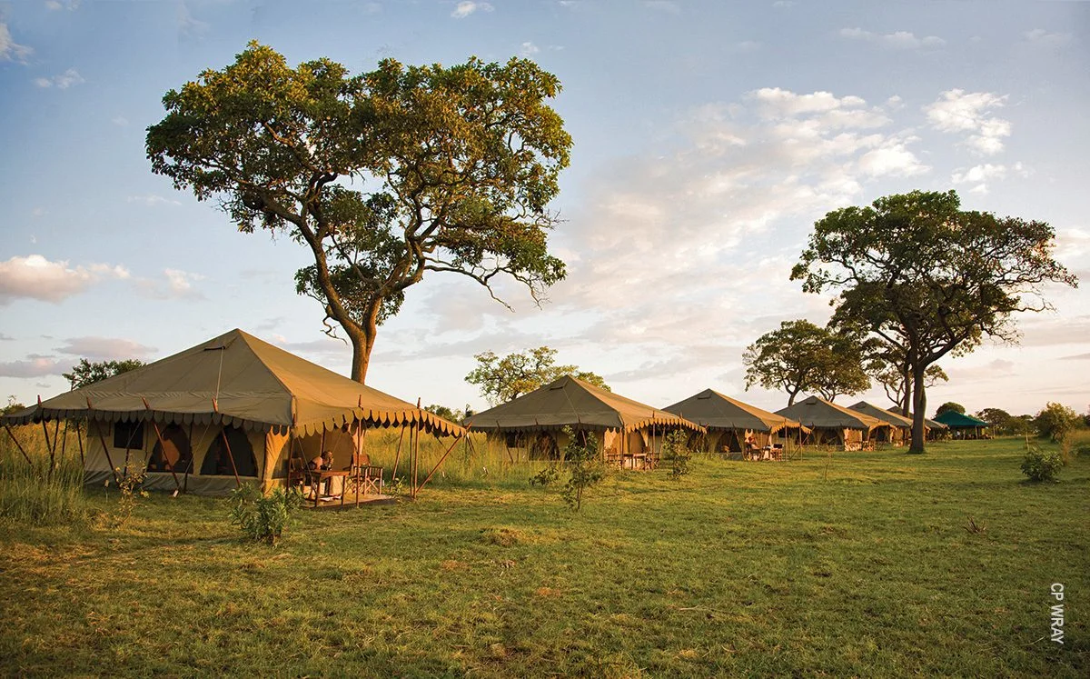 Row of canvas guest tents on green grass beneath trees at Northern Serengeti Nyumba