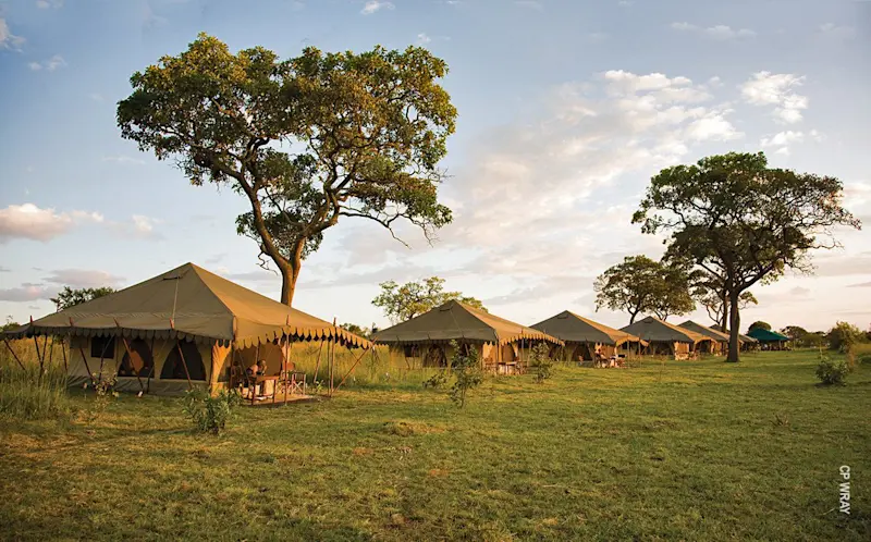 Row of canvas guest tents on green grass beneath trees at Northern Serengeti Nyumba