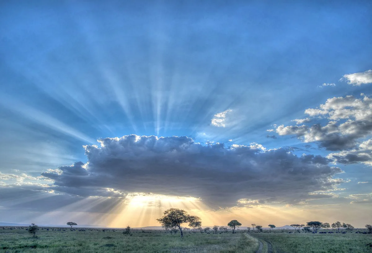 Sun rays bursting from behind a cloud over the Serengeti plains at sunrise