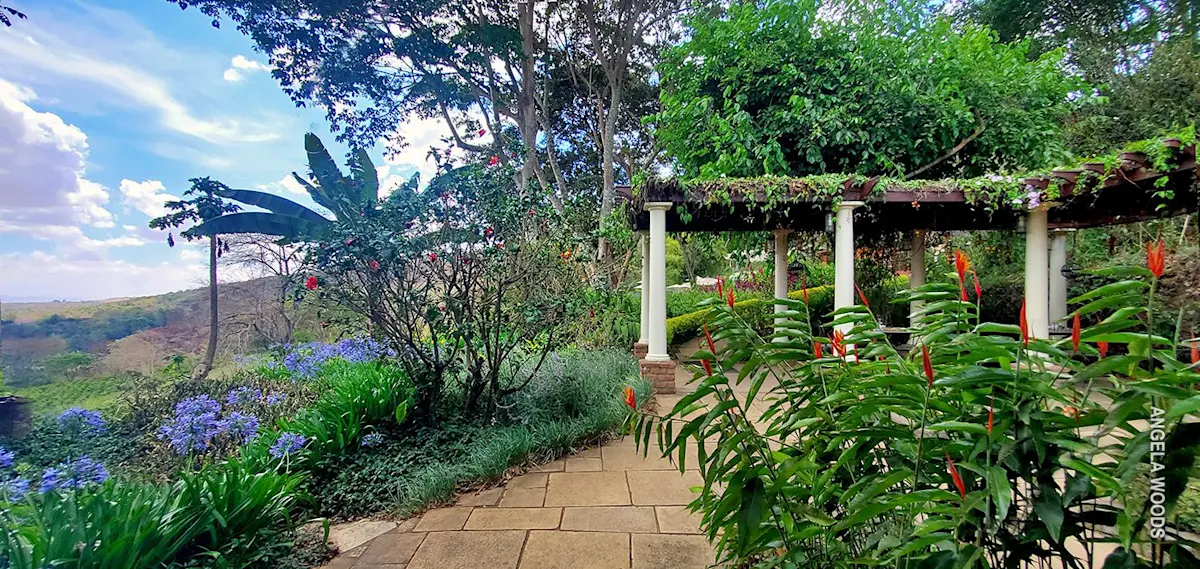 Garden path with a vine-covered pergola and flowering plants at Gibb's Farm
