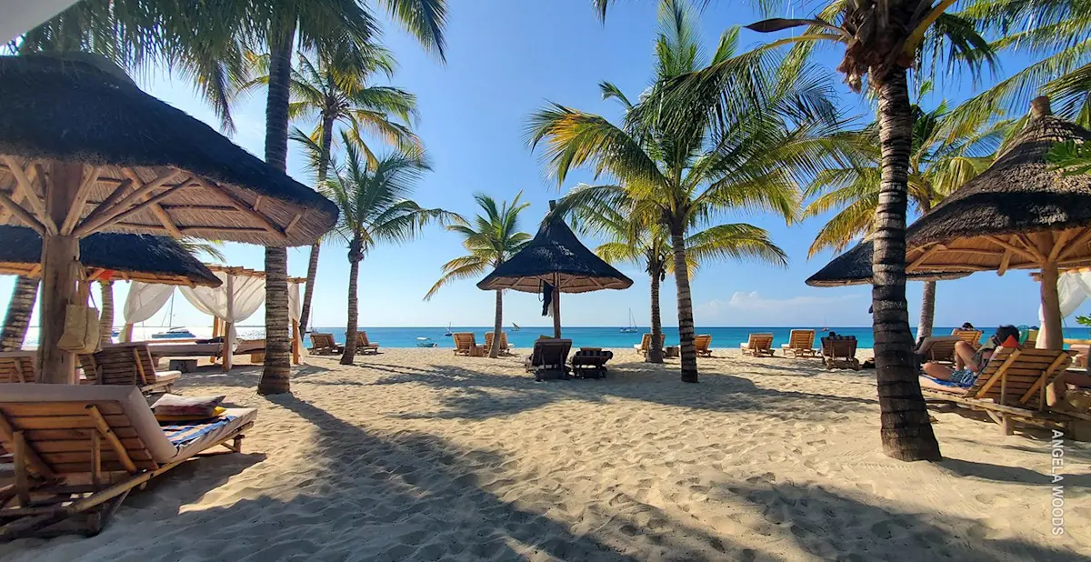 Thatched beach umbrellas and lounge chairs under palm trees on a Zanzibar beach