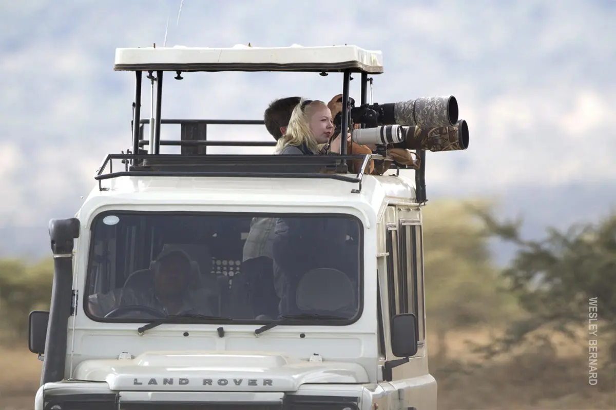 Photographers with long telephoto lenses in the roof hatch of a safari vehicle