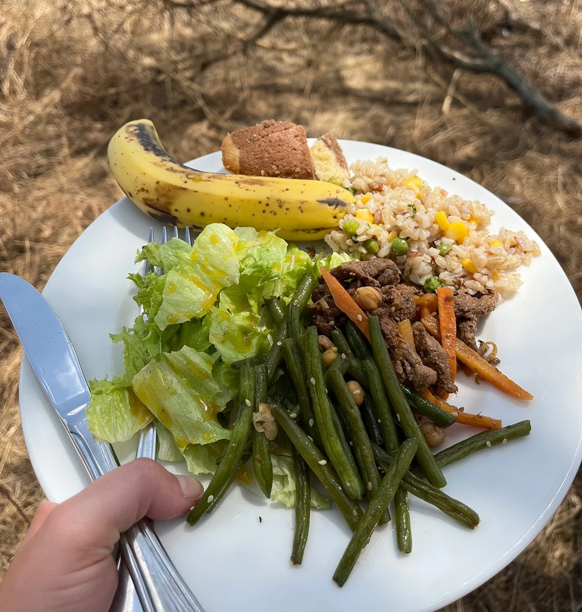 Plate of rice, beef stir-fry, green beans, salad, bread and a banana at a bush lunch