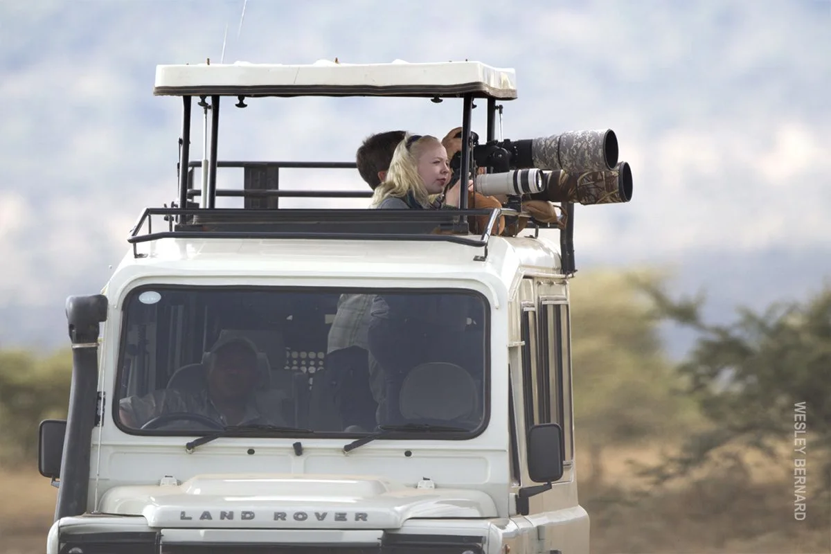 Travelers with long telephoto lenses photographing from the pop-up roof of a Land Rover
