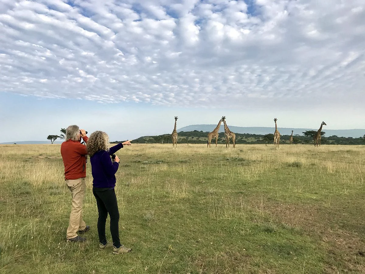 Rick Thomson and Judi Wineland watching a group of giraffes on open grassland