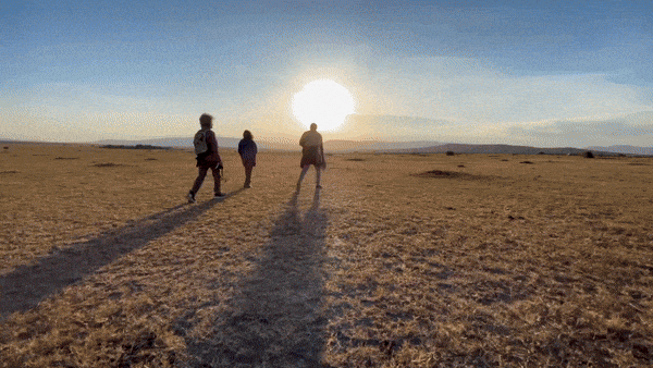 Small group walking across open grassland toward the setting sun