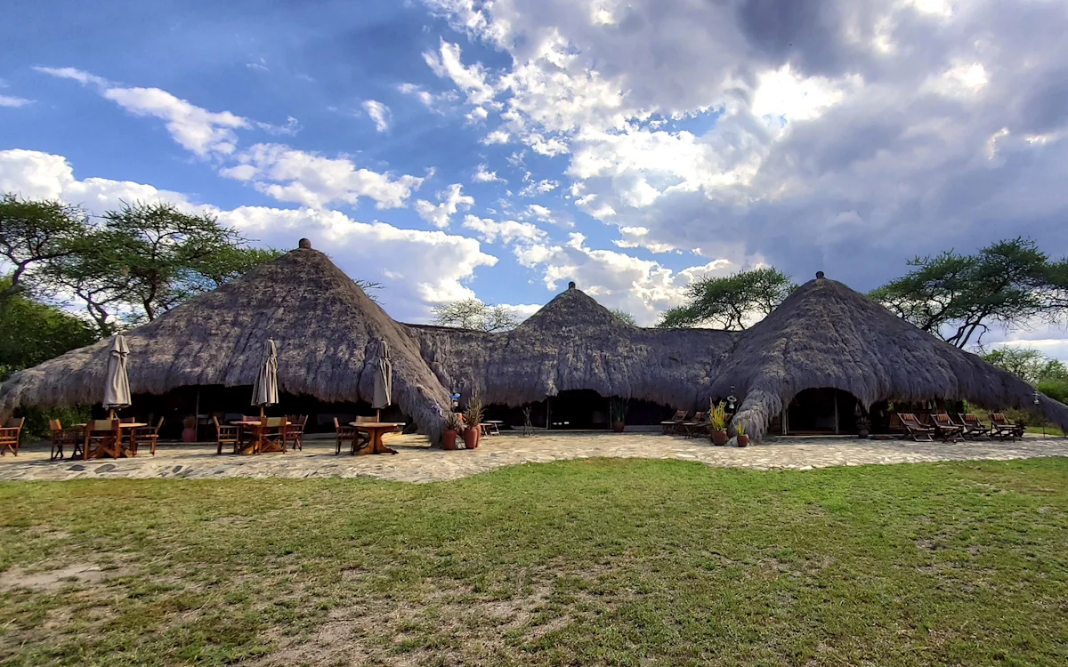 Thatched-roof lounge buildings beside a lawn at Serengeti Nyumbas
