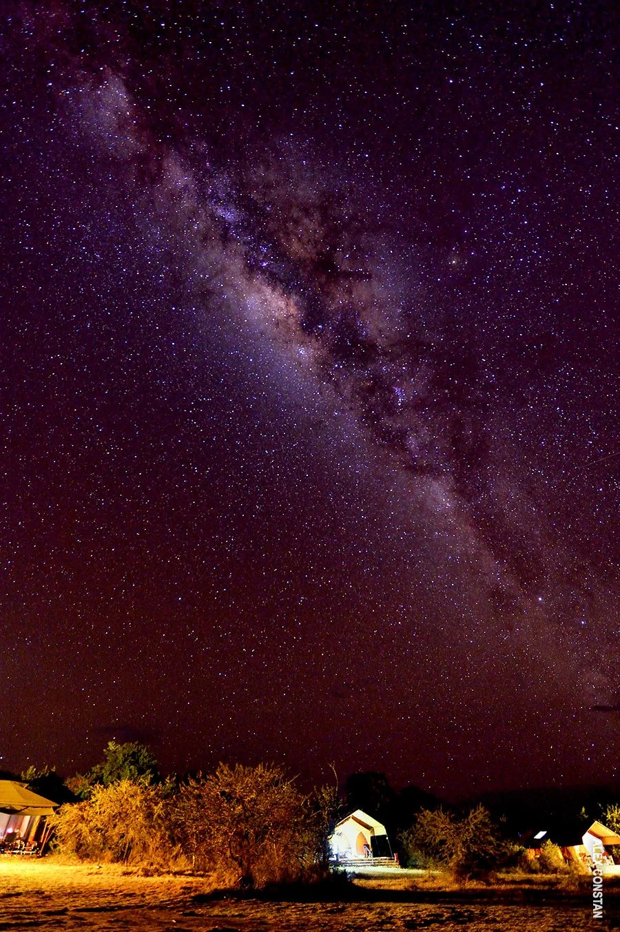 Milky Way stretching across a starry sky above lit safari tents