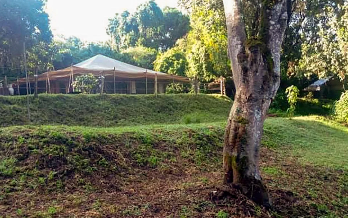 Lounge tent on a grassy hill among forest trees at Ngorongoro Nyumba