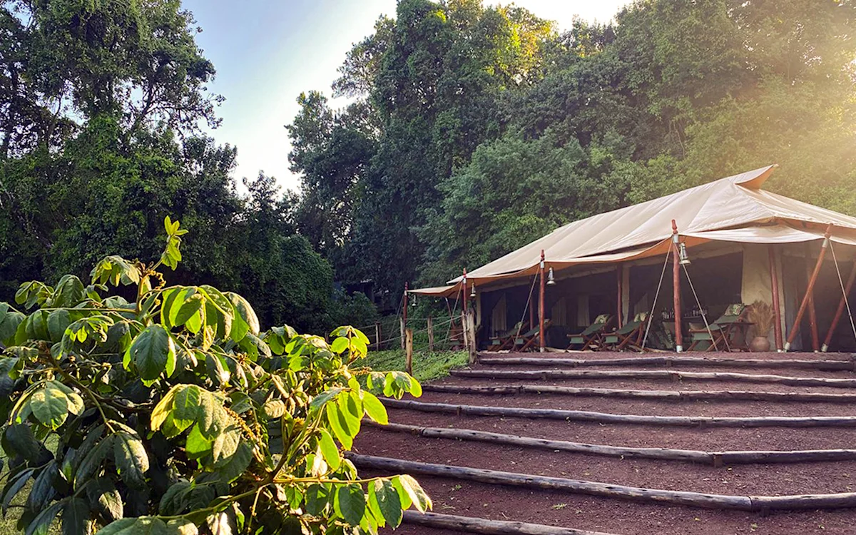 Wide stairs leading up to the lounge tent in the forest at Ngorongoro Nyumba