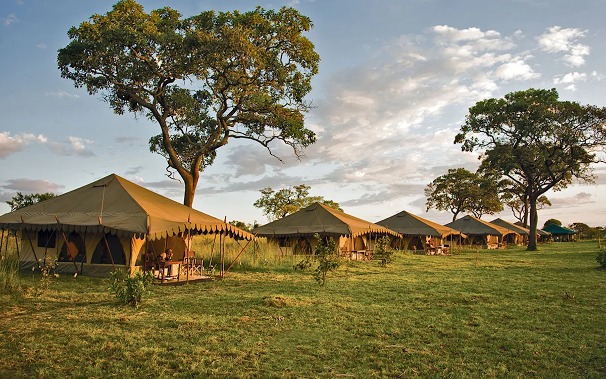 Row of canvas guest tents on green grass beneath trees at Serengeti Nyumbas