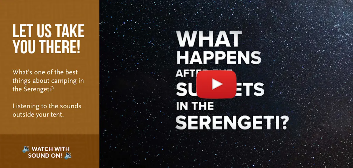 Video thumbnail asking What happens after the sun sets in the Serengeti? over a starry sky