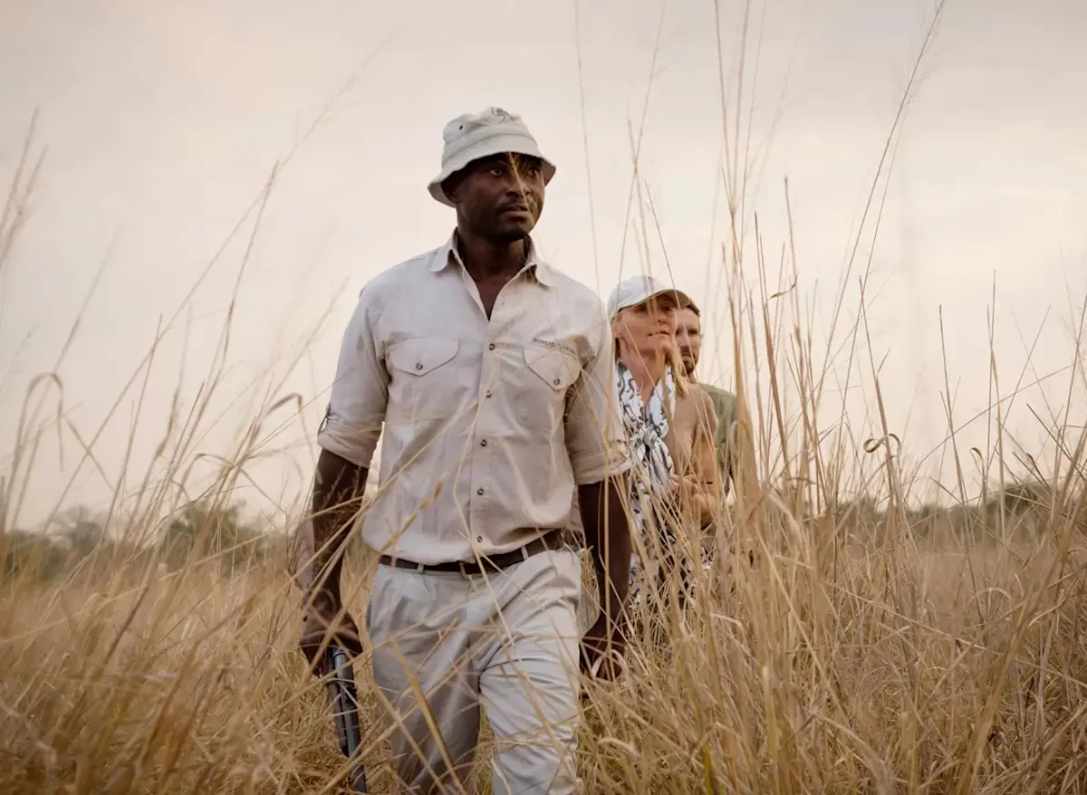 A guide leading a walk through the grass in Nyerere National Park.