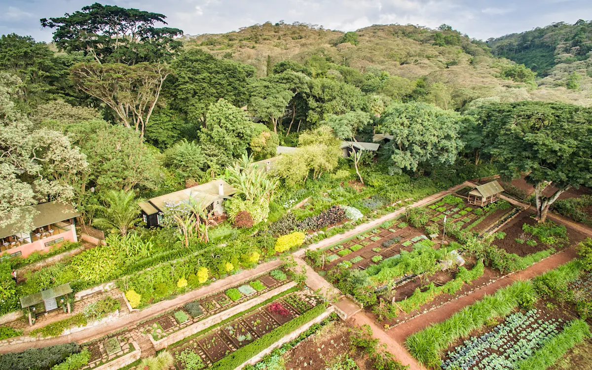 Aerial view of cottages and vegetable gardens on a forested hillside at Gibb's Farm
