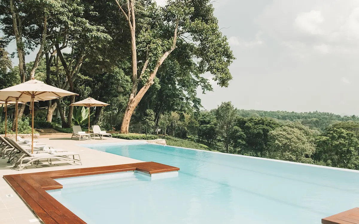 Infinity pool with loungers and umbrellas overlooking forest at Gibb's Farm