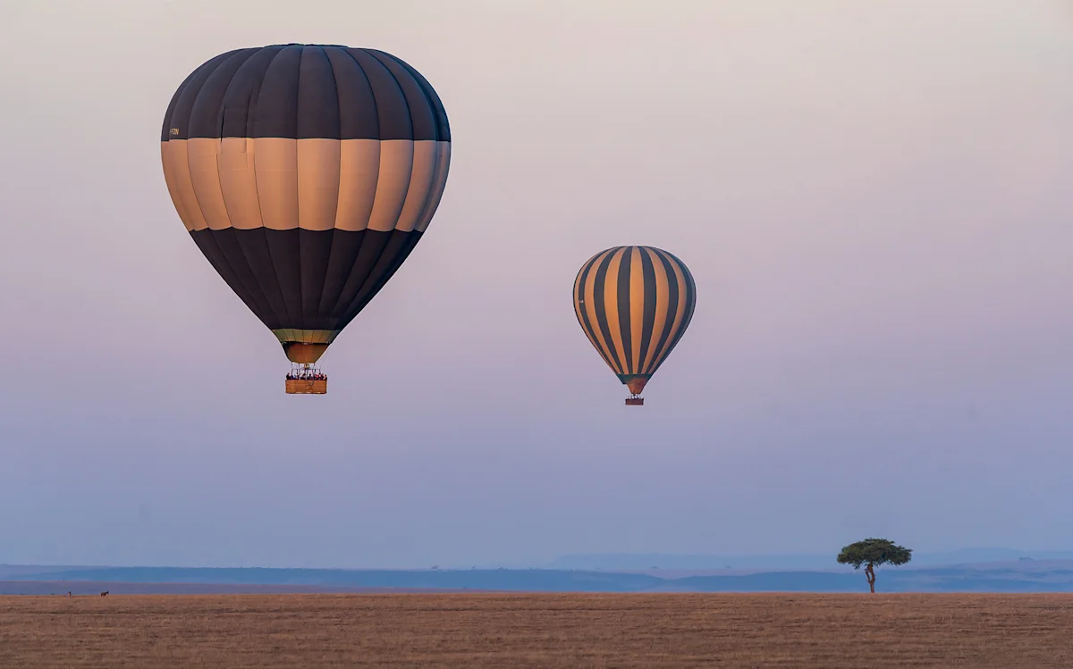 Two hot air balloons floating above flat plains at dawn