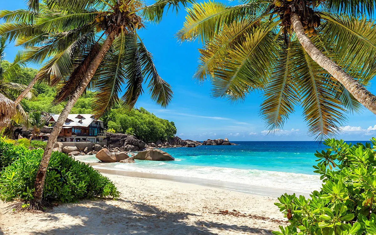 Palm trees leaning over a white sand beach with granite boulders and turquoise water