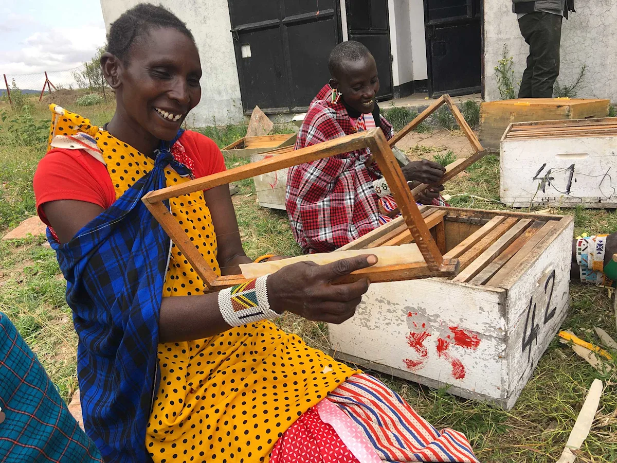 Maasai women building wooden frames for beehives