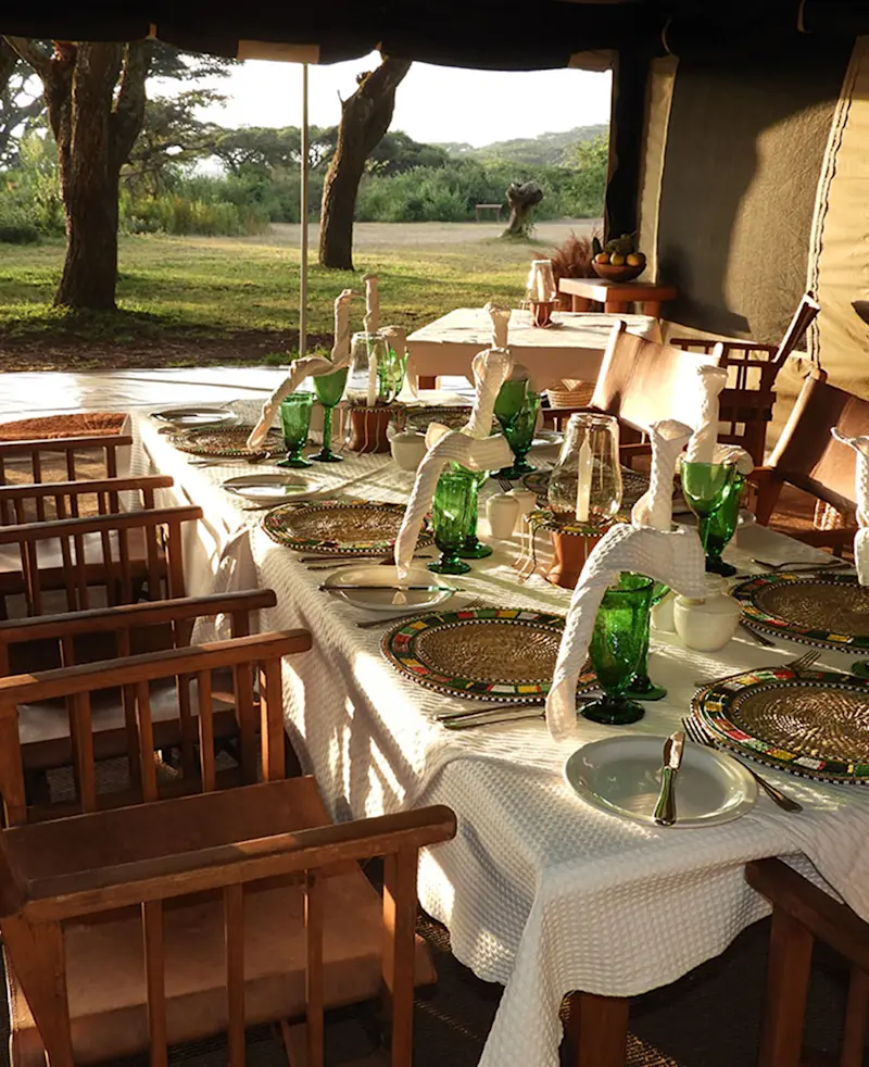 Long table set for a meal under a dining tent, with trees beyond