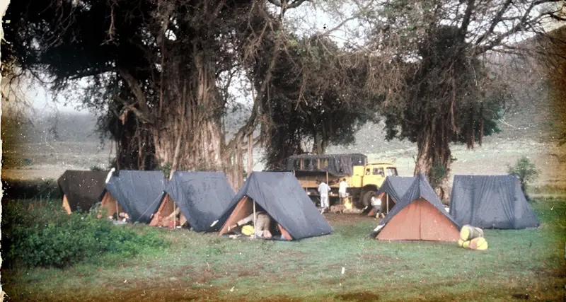 Old faded photo of small tents and a truck camped under large trees