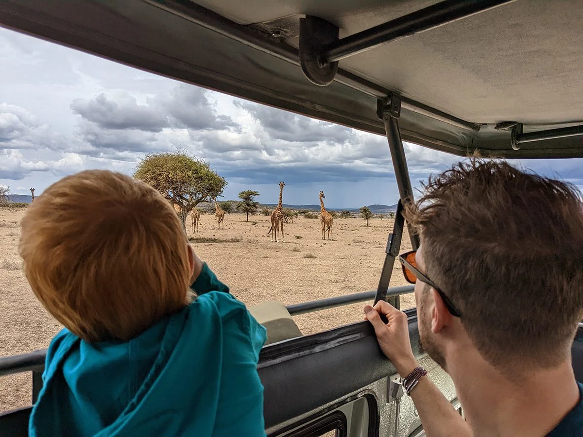 Boy and man watching a group of giraffes from an open safari vehicle