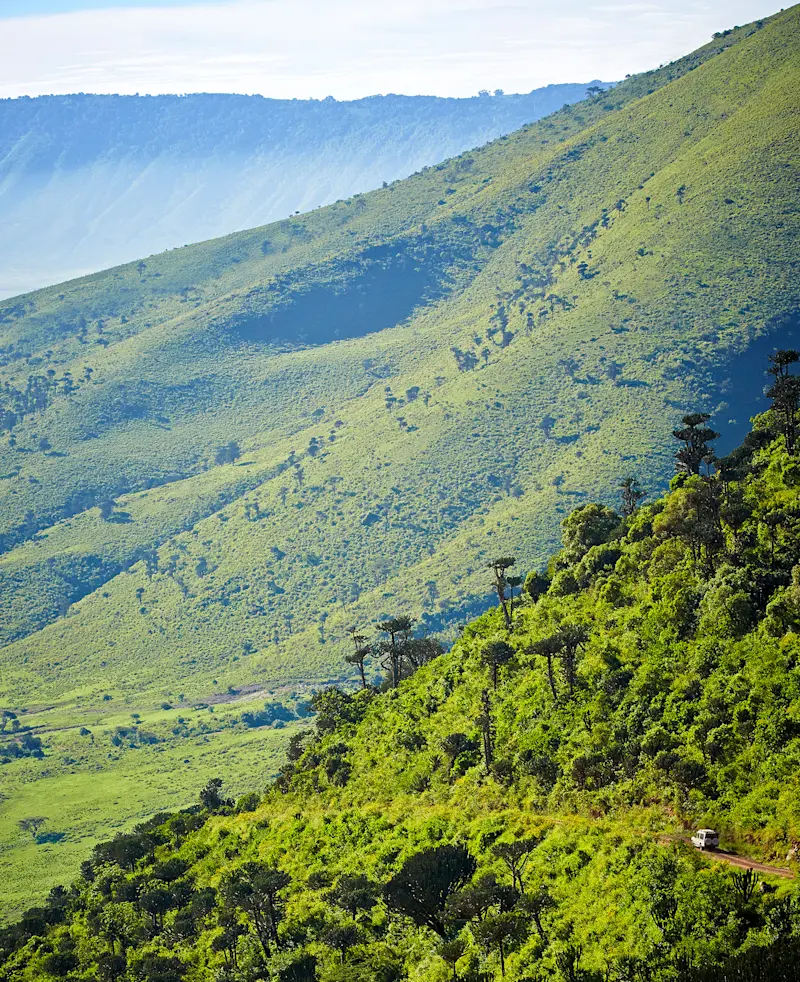 Steep green wall of Ngorongoro Crater with a road winding down